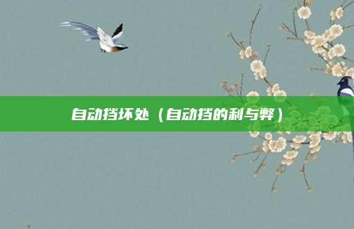 自动挡坏处（自动挡的利与弊）