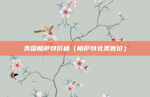 美国帕萨特价格（帕萨特北美售价）