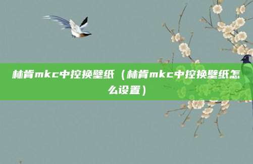 林肯mkc中控换壁纸(林肯mkc中控换壁纸怎么设置)