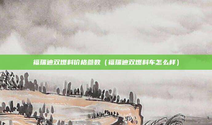 福瑞迪双燃料价格参数(福瑞迪双燃料车怎么样)