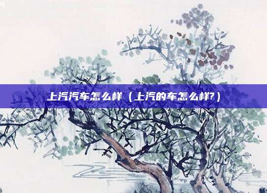上汽汽车怎么样(上汽的车怎么样?)