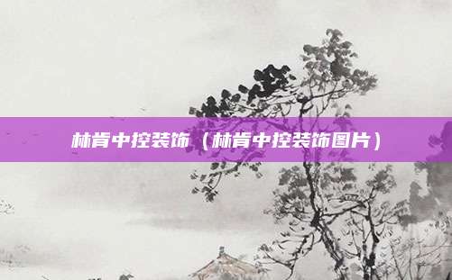 林肯中控装饰(林肯中控装饰图片)