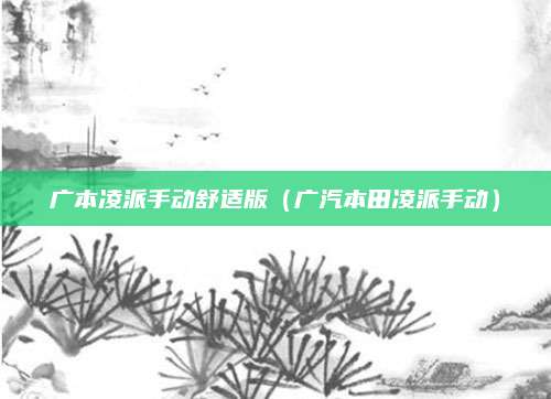 广本凌派手动舒适版(广汽本田凌派手动)