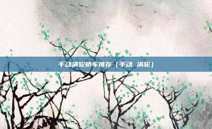 手动涡轮轿车推荐(手动 涡轮)