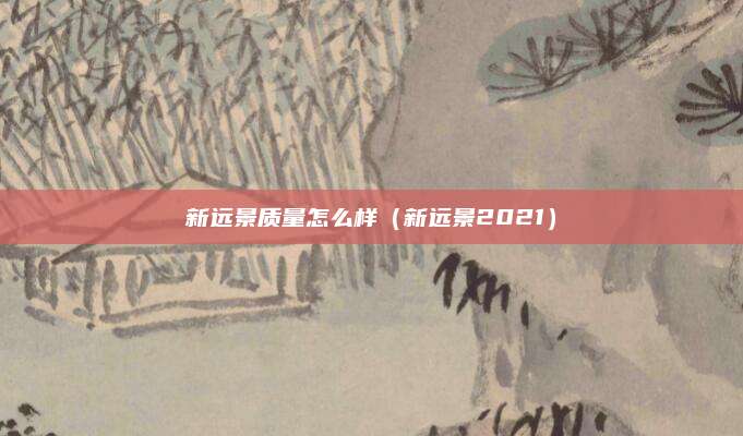 新远景质量怎么样(新远景2021)