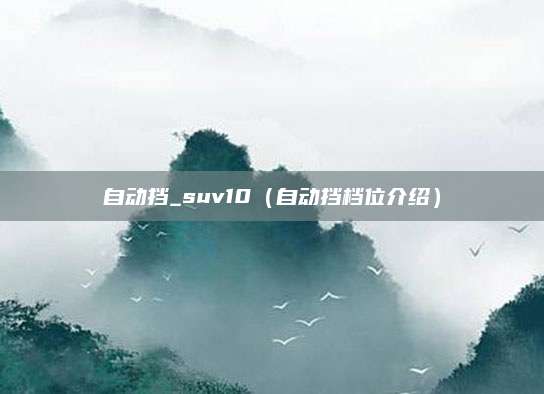 自动挡_suv10(自动挡档位介绍)