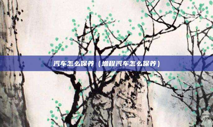 汽车怎么保养(增程汽车怎么保养)