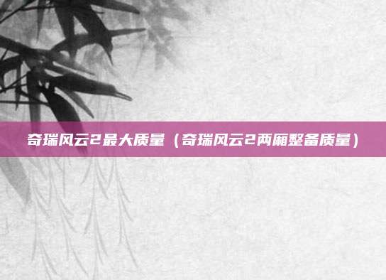 奇瑞风云2最大质量(奇瑞风云2两厢整备质量)