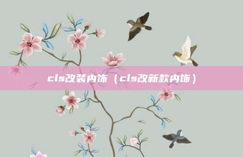 cls改装内饰(cls改新款内饰)