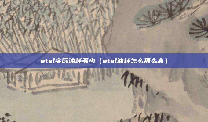atsl实际油耗多少(atsl油耗怎么那么高)
