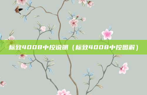 标致4008中控说明(标致4008中控图解)