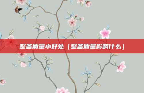 整备质量小好处(整备质量影响什么)