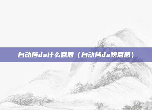 自动挡ds什么意思(自动挡ds啥意思)