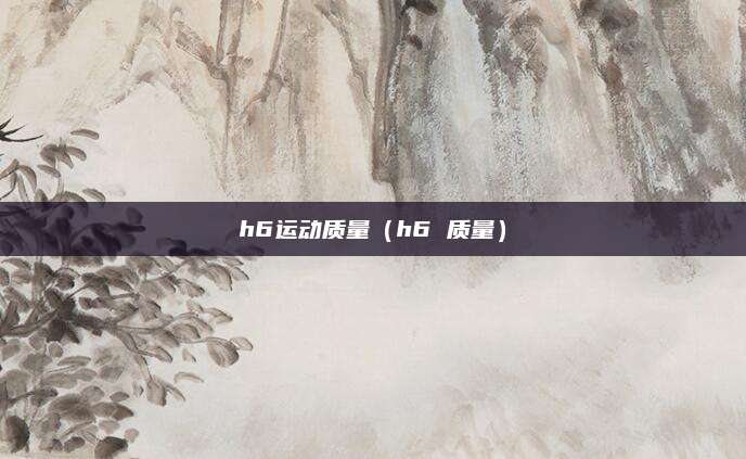 h6运动质量(h6 质量)