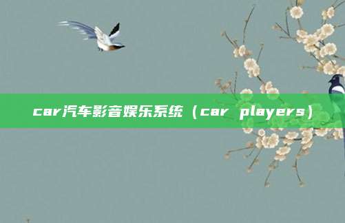 car汽车影音娱乐系统(car players)