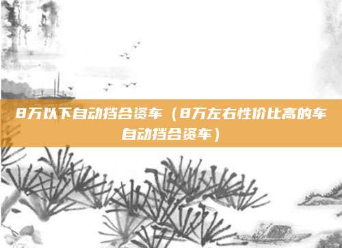 8万以下自动挡合资车(8万左右性价比高的车自动挡合资车)