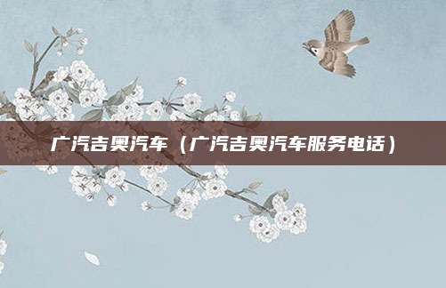 广汽吉奥汽车(广汽吉奥汽车服务电话)