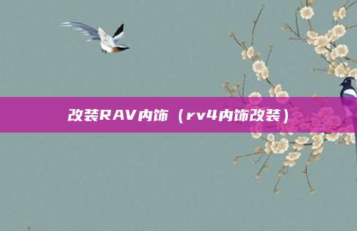 改装RAV内饰(rv4内饰改装)