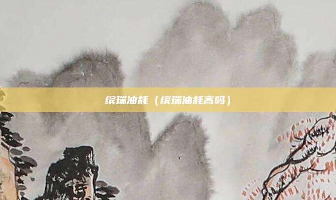 缤瑞油耗(缤瑞油耗高吗)