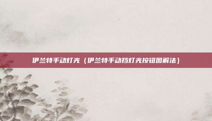 伊兰特手动灯光(伊兰特手动挡灯光按钮图解法)