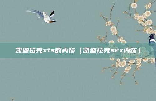 凯迪拉克xts的内饰(凯迪拉克srx内饰)
