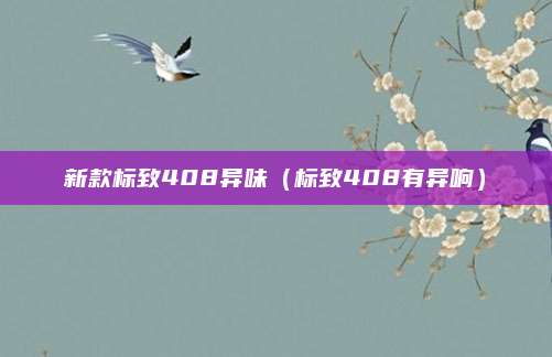 新款标致408异味(标致408有异响)