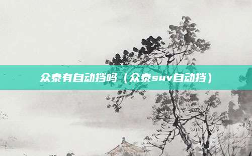 众泰有自动挡吗(众泰suv自动挡)