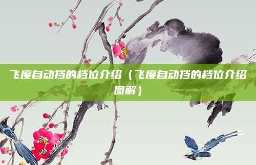 飞度自动挡的档位介绍(飞度自动挡的档位介绍图解)