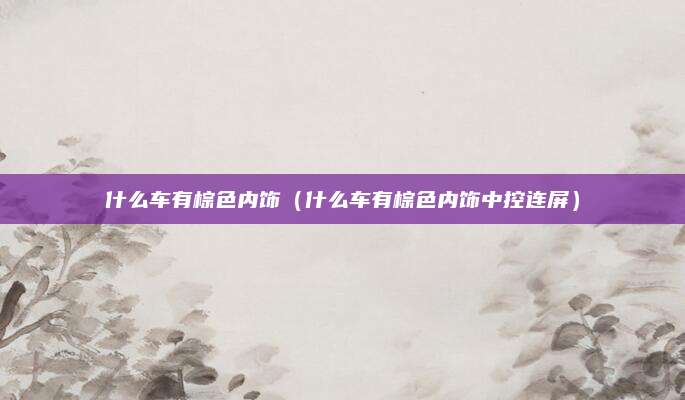 什么车有棕色内饰(什么车有棕色内饰中控连屏)