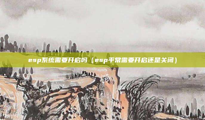 esp系统需要开启吗(esp平常需要开启还是关闭)