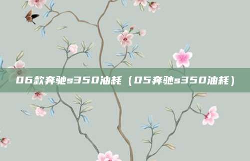 06款奔驰s350油耗(05奔驰s350油耗)