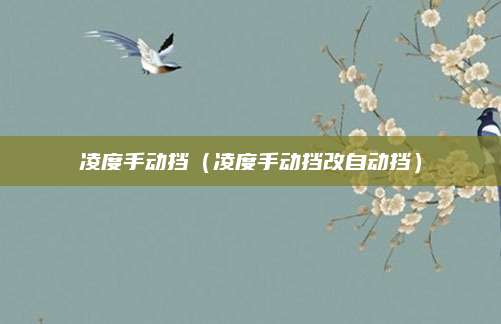 凌度手动挡(凌度手动挡改自动挡)