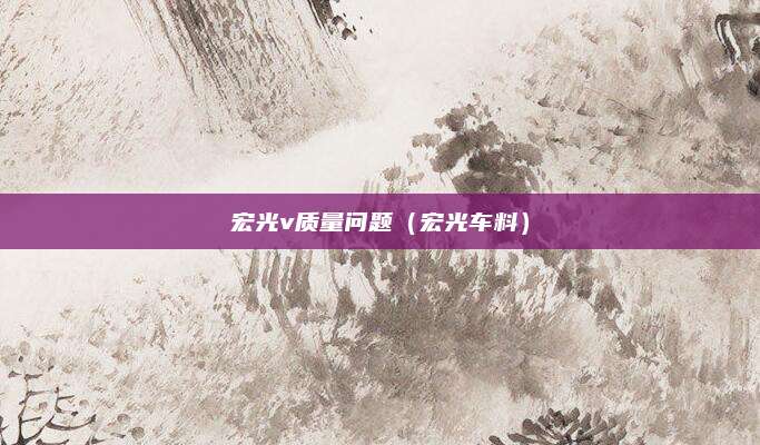 宏光v质量问题（宏光车料）
