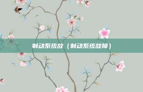 制动系统故(制动系统故障)