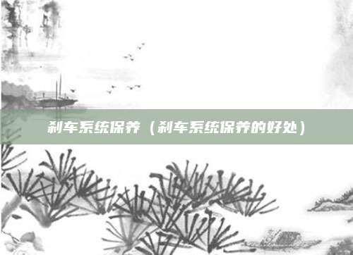 刹车系统保养(刹车系统保养的好处)