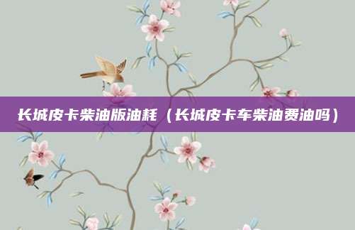长城皮卡柴油版油耗（长城皮卡车柴油费油吗）