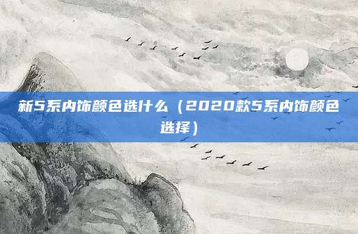 新5系内饰颜色选什么(2020款5系内饰颜色选择)