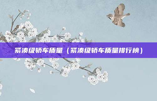 紧凑级轿车质量(紧凑级轿车质量排行榜)