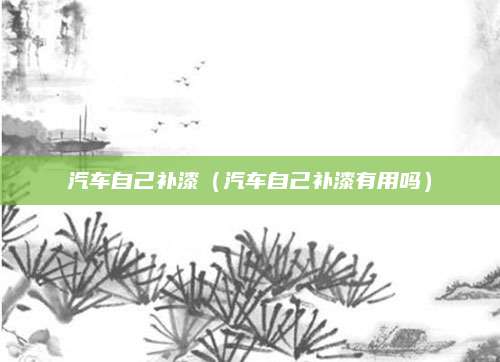 汽车自己补漆(汽车自己补漆有用吗)