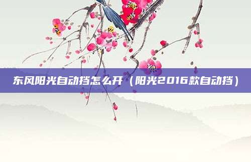 东风阳光自动挡怎么开（阳光2016款自动挡）