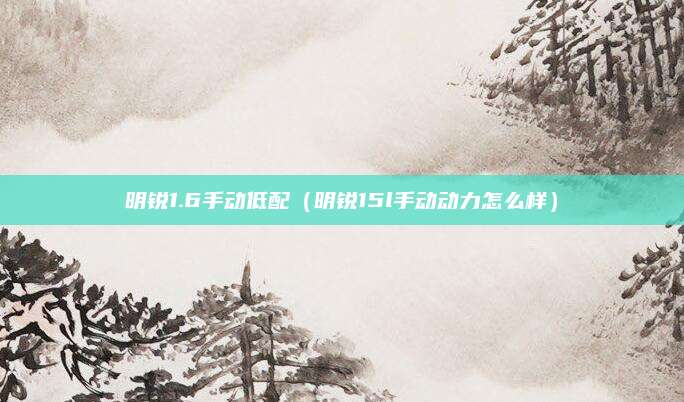 明锐1.6手动低配(明锐15l手动动力怎么样)