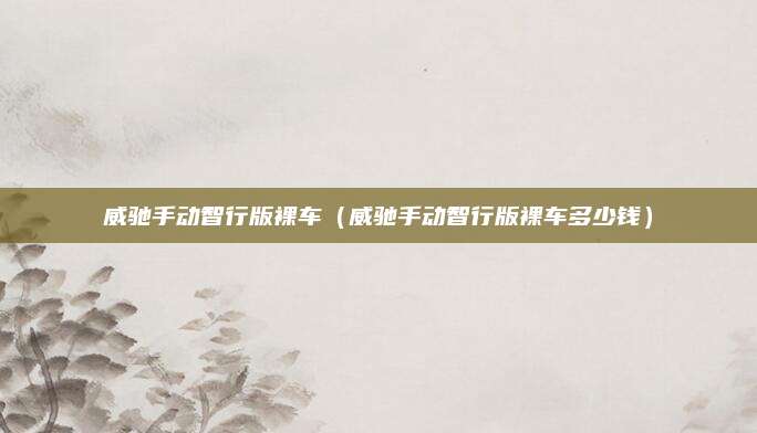 威驰手动智行版裸车(威驰手动智行版裸车多少钱)
