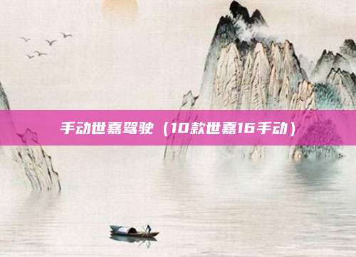 手动世嘉驾驶(10款世嘉16手动)