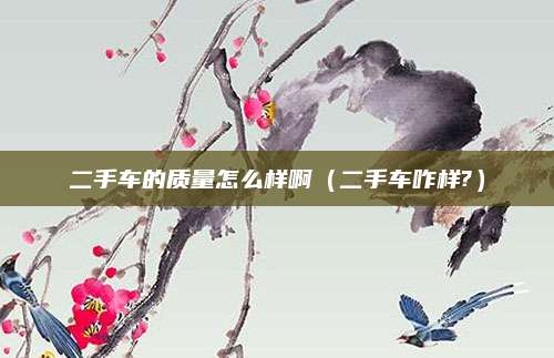 二手车的质量怎么样啊(二手车咋样?)
