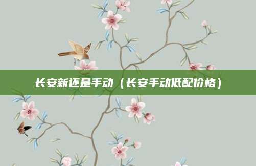 长安新还是手动(长安手动低配价格)
