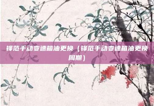 锋范手动变速箱油更换（锋范手动变速箱油更换周期）