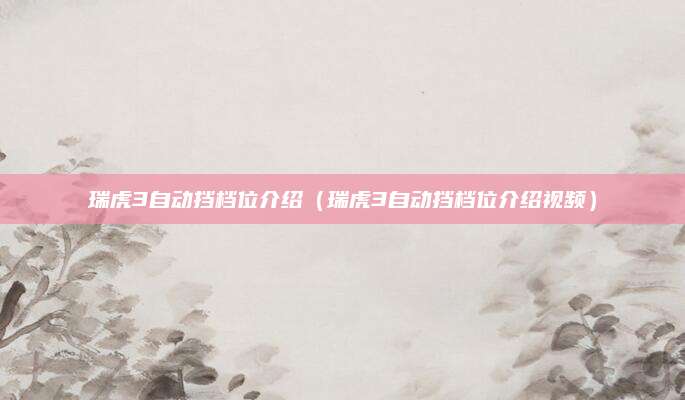 瑞虎3自动挡档位介绍(瑞虎3自动挡档位介绍视频)