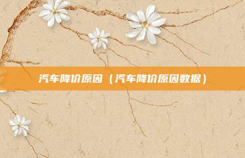 汽车降价原因(汽车降价原因数据)