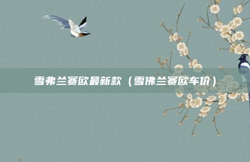 雪弗兰赛欧最新款（雪佛兰赛欧车价）