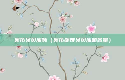 奥拓贝贝油耗(奥拓都市贝贝油箱容量)